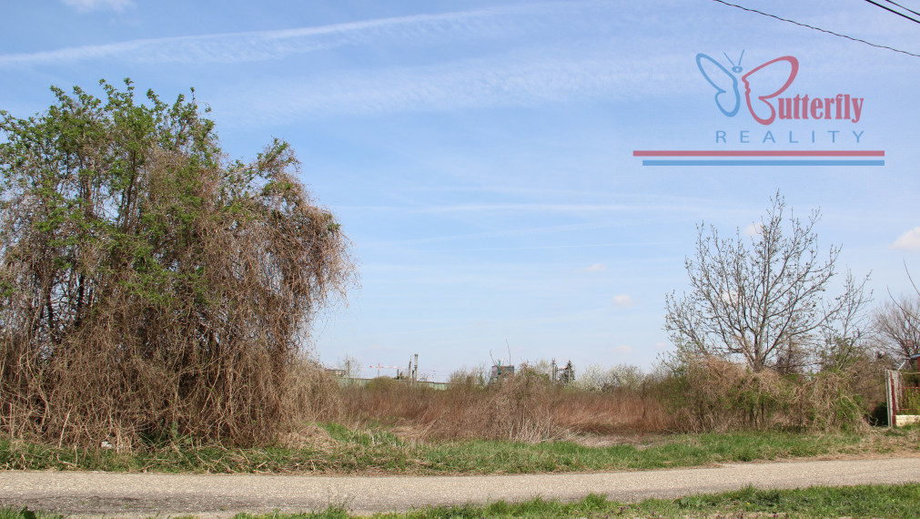 P R E D A J  POZEMOK  V BRATISLAVE V RUŽINOVE NA JASTRABEJ ULICI