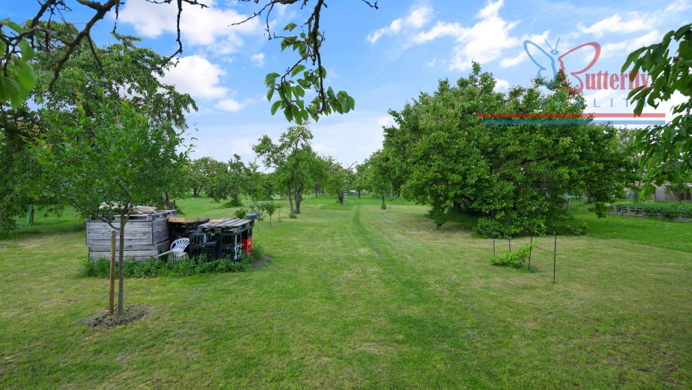 P R E D A J  POZEMOK  V TOMÁŠOVE NA TEHELNEJ ULICI