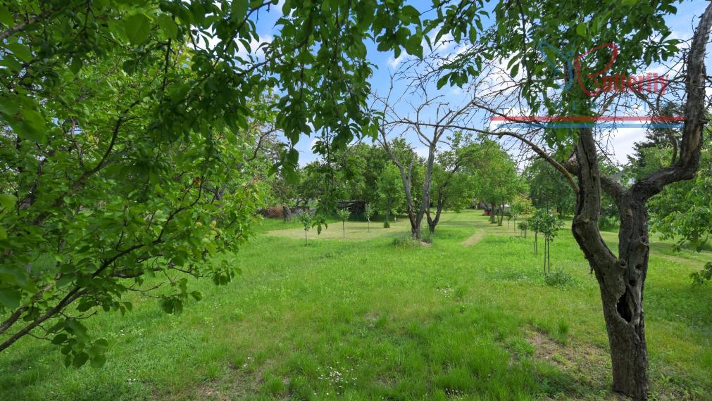 P R E D A J  POZEMOK  V TOMÁŠOVE NA TEHELNEJ ULICI