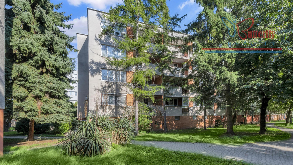 P R E N Á J O M 3 izbový byt Dunajská Lužná