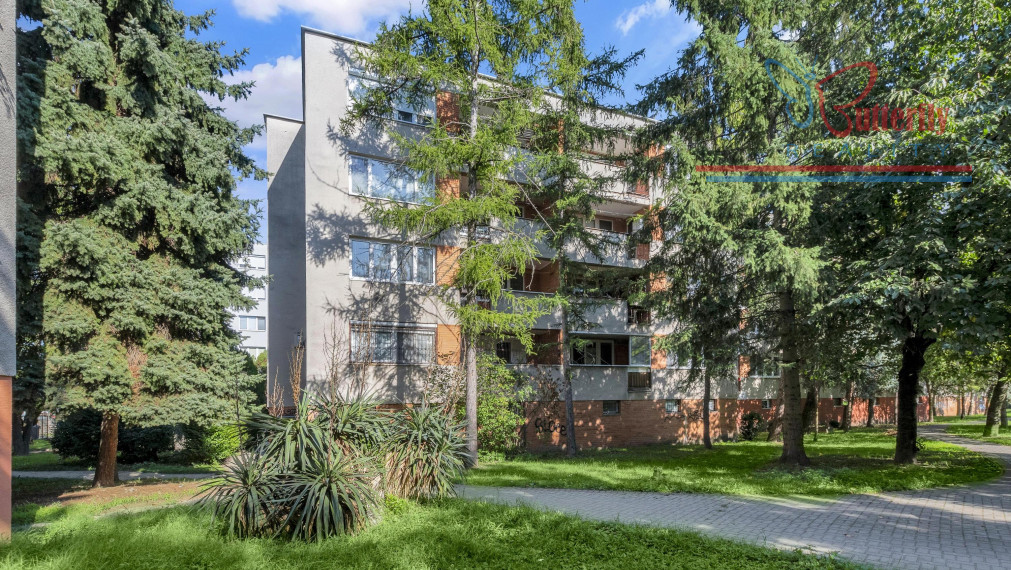 P R E N Á J O M 3 izbový byt Dunajská Lužná