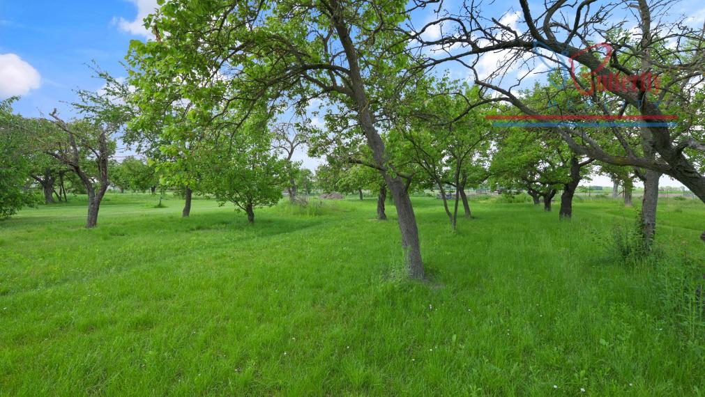P R E D A J  POZEMOK  V TOMÁŠOVE NA TEHELNEJ ULICI