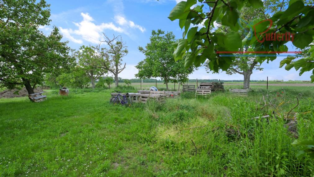 P R E D A J  POZEMOK  V TOMÁŠOVE NA TEHELNEJ ULICI