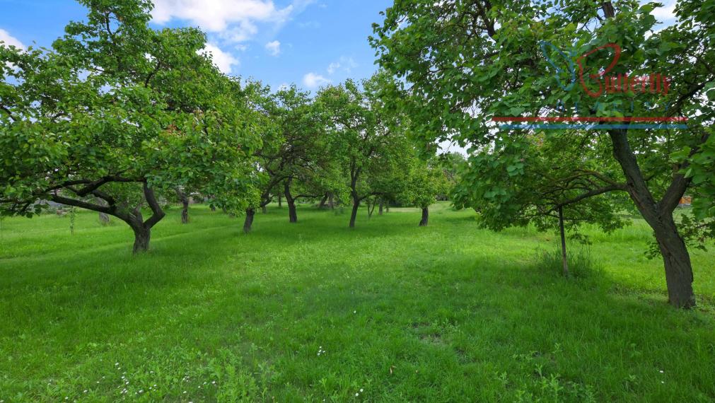 P R E D A J  POZEMOK  V TOMÁŠOVE NA TEHELNEJ ULICI