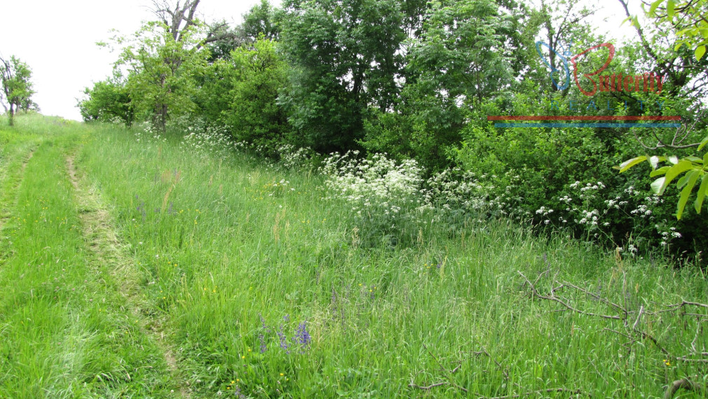 PREDAJ Záhrada 2601m2 s chatkou, Veľký Lapáš