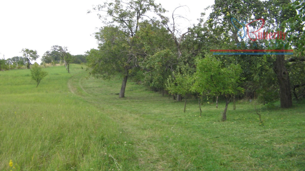 PREDAJ Záhrada 2601m2 s chatkou, Veľký Lapáš