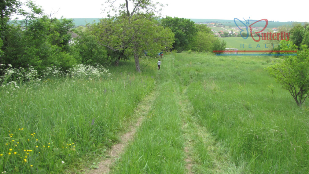 PREDAJ Záhrada 2601m2 s chatkou, Veľký Lapáš
