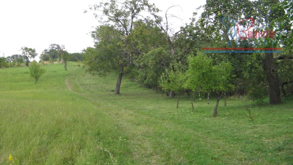 PREDAJ Záhrada 2601m2 s chatkou, Veľký Lapáš