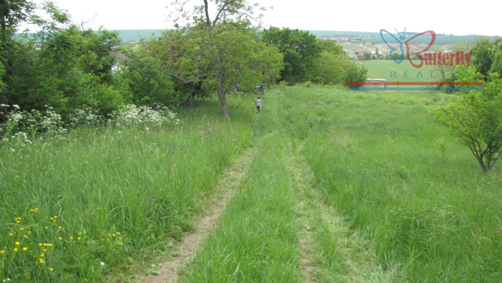 PREDAJ Záhrada 2601m2 s chatkou, Veľký Lapáš