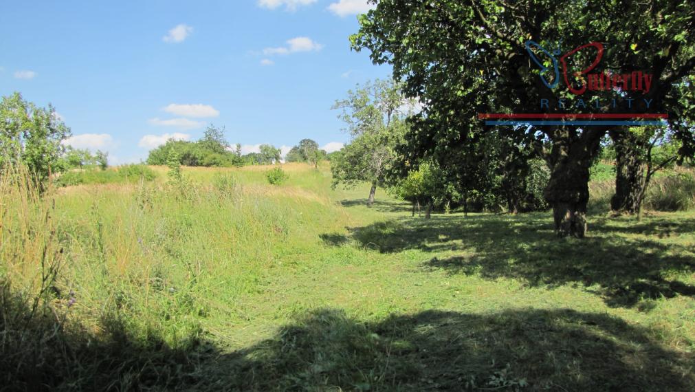 PREDAJ Záhrada 2601m2 s chatkou, Veľký Lapáš