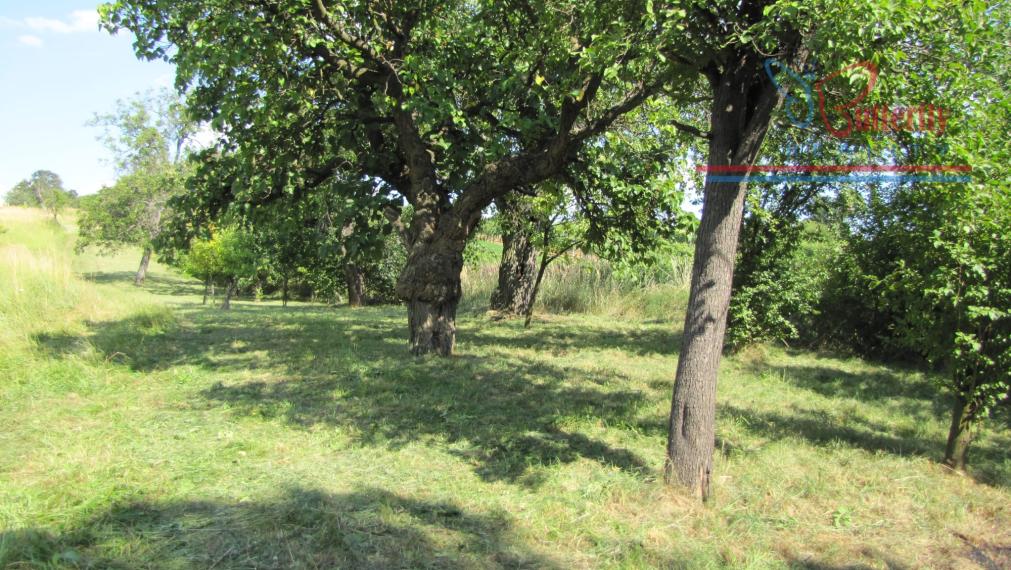 PREDAJ Záhrada 2601m2 s chatkou, Veľký Lapáš